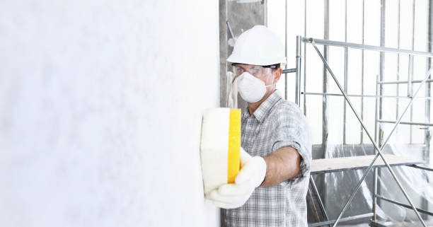 Why You Should Choose Our Mold Remediation Services in Mcewen, TN