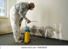 Reliable Mcewen, TN Mold Inspection Solutions